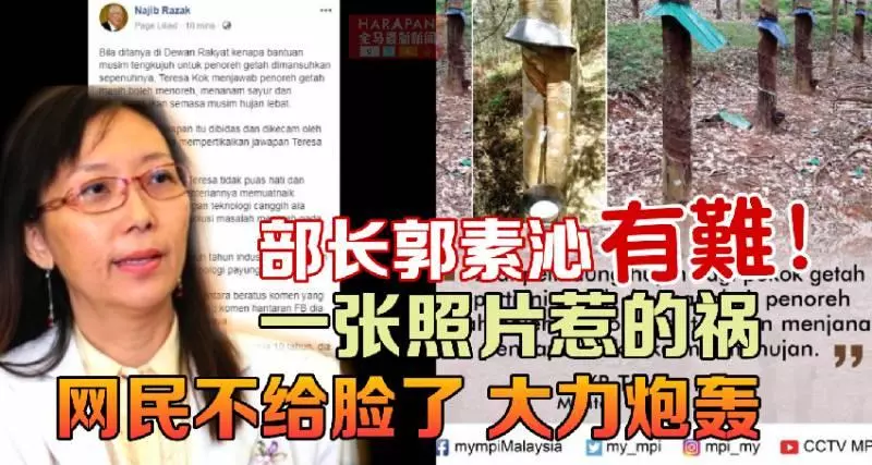 ◤勁爆來襲◢ 郭素沁【惹禍了】網民不給臉了【大力炮轟】必看