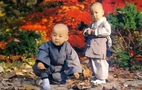 這五種人是前世畜生投胎,遇到請馬上遠離!