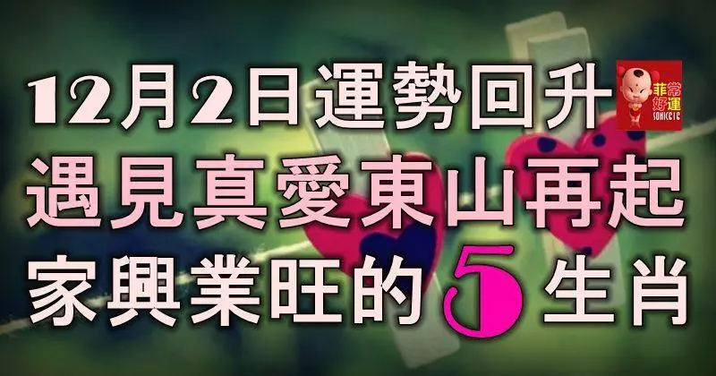 12月2日起運勢回升,遇見真愛東山再起,家興業旺發橫財的5生肖!