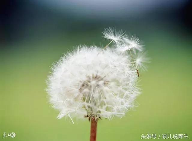 養肝就是養命,早上起床做這3件事,肝臟一輩子沒毛病!