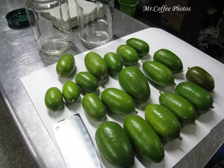 【自製檸檬酵素】很簡單,只需冰糖和檸檬全搞定,檸檬不要只是泡水喝了,快來DIY吧