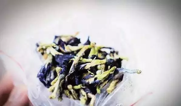 【蝶豆花茶】在台灣為何如此受歡迎?一杯至少有6種功效!但有4類人不能喝,會有「血崩」風險