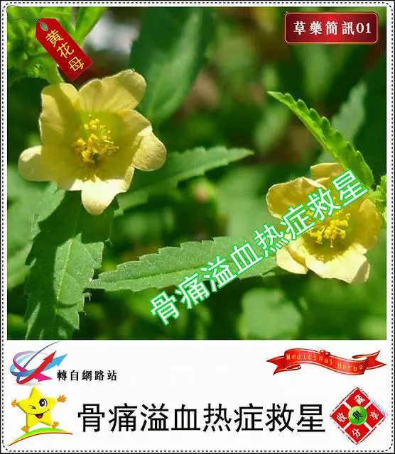 30種草藥用法!!趕緊收藏起來!