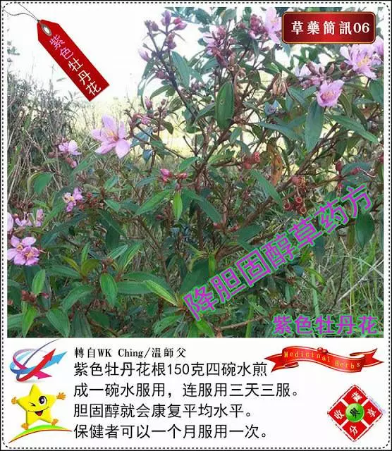 30種草藥用法!!趕緊收藏起來!