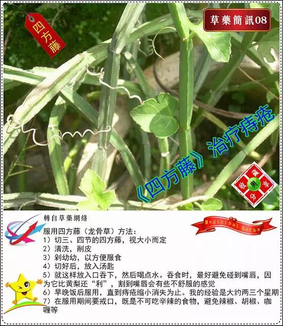 30種草藥用法!!趕緊收藏起來!