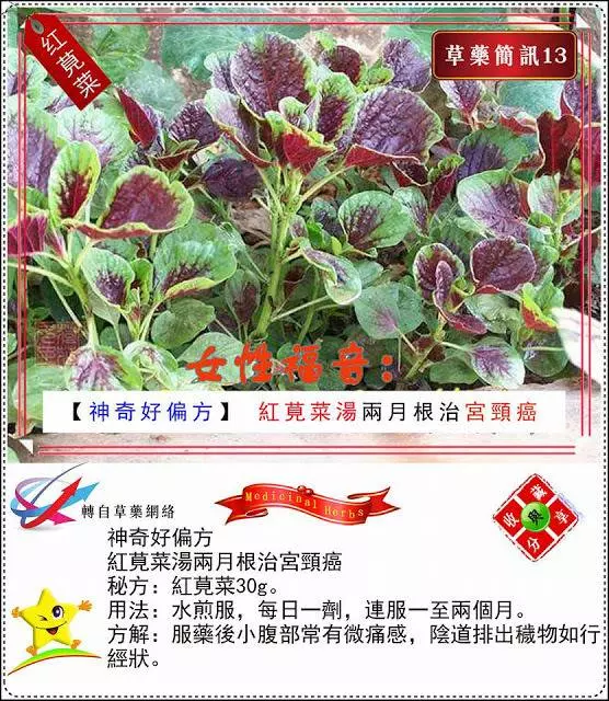 30種草藥用法!!趕緊收藏起來!