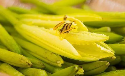 菜市場常見的【6種傷肝蔬菜】,能不吃就不要吃,特別是第三個!