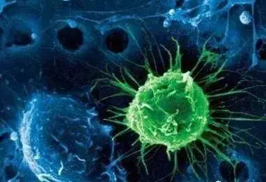 驚喜消息!美德宣布癌症疫苗大獲成功,癌細胞已擴散也可痊癒