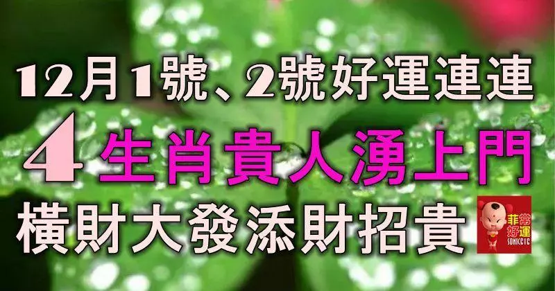 12月1號、2號好運惹不起,4大生肖貴人湧上門,橫財大發,添財招貴!