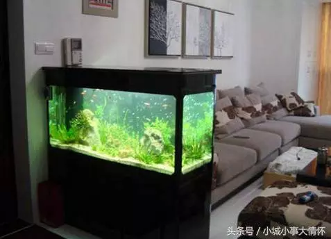 【謹慎!】風水先生告誡我:這幾樣東西免費都別帶回家,除非你想橫禍不斷,家運敗落!!