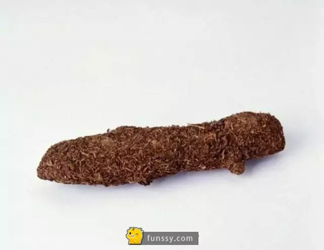 盤點15個「前蘇聯特務」真正用過的秘密武器 #10,大便監聽器不會被人家用水沖走嗎?~~大家來看看吧