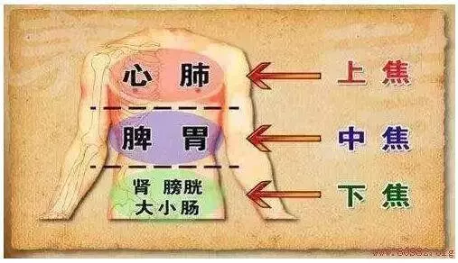 我們欠豬油一聲「對不起」,李時珍告訴你豬油驚人的好處