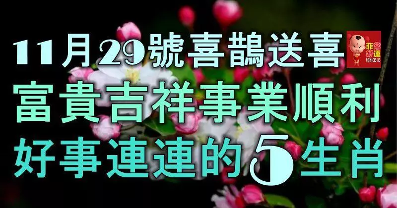11月29號開始,喜鵲送喜,富貴吉祥,事業順利,好事連連的5大生肖!