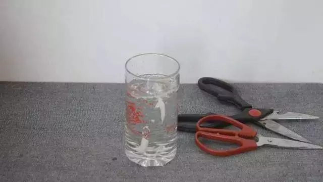 超實用!剪刀生鏽變鈍了怎麼辦?用它泡一泡,剪刀快速除銹變鋒利!又幫你省一筆錢!趕快告訴家人!