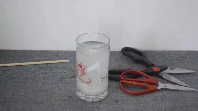 超實用!剪刀生鏽變鈍了怎麼辦?用它泡一泡,剪刀快速除銹變鋒利!又幫你省一筆錢!趕快告訴家人!
