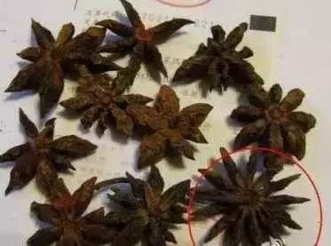 警惕!馬上檢查一下家裡廚房,發現這個趕緊扔掉!有劇毒!