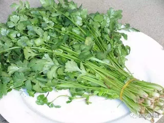 吃香菜可以排毒,但很多人都吃錯了!