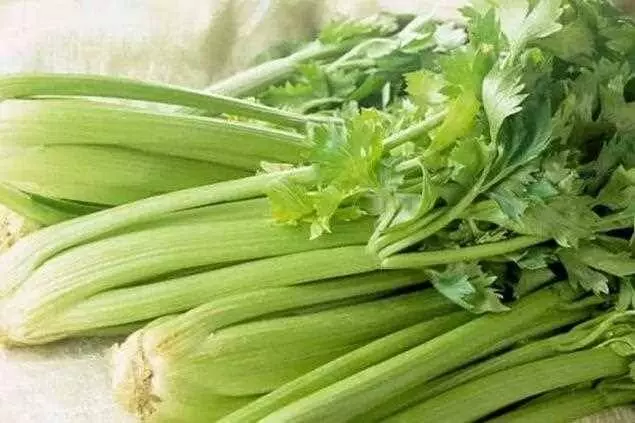 7 種 最 強 「宿 便」殺 手,讓 你 一 夜 排 毒 瘦 身!肚 子 腰 圍 3 天就能 小 一 吋