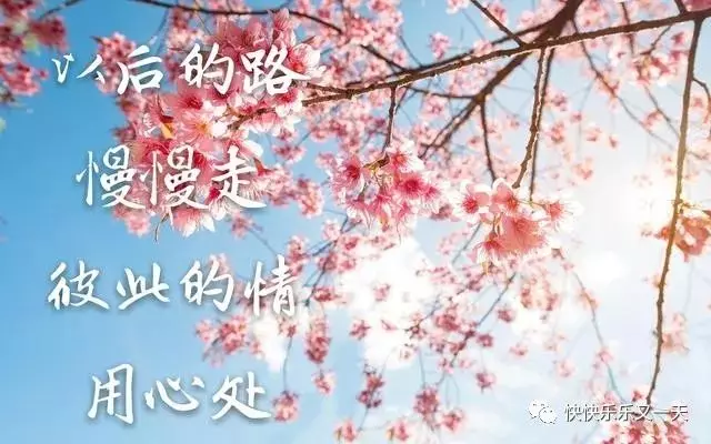 不管是並肩前行,還是陌路殊途,遇見了就是緣分,相處過就是福分