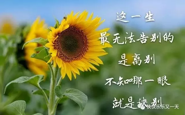 不管是並肩前行,還是陌路殊途,遇見了就是緣分,相處過就是福分