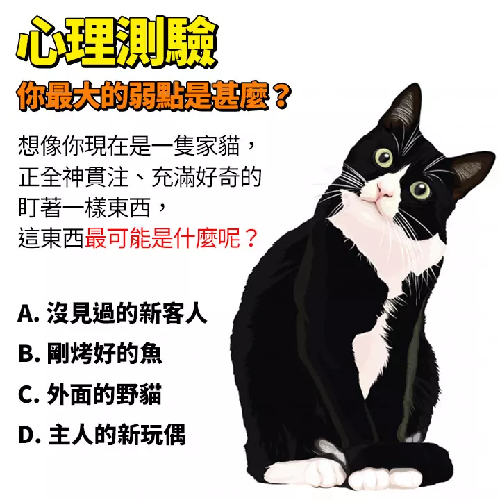 【心理測驗】你最大的弱點是什麼?