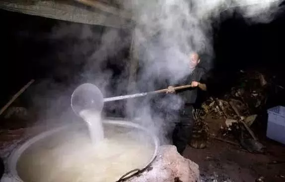 1種豆是「吸毒王」,能吸附血管垃圾,疏通血管,更長壽