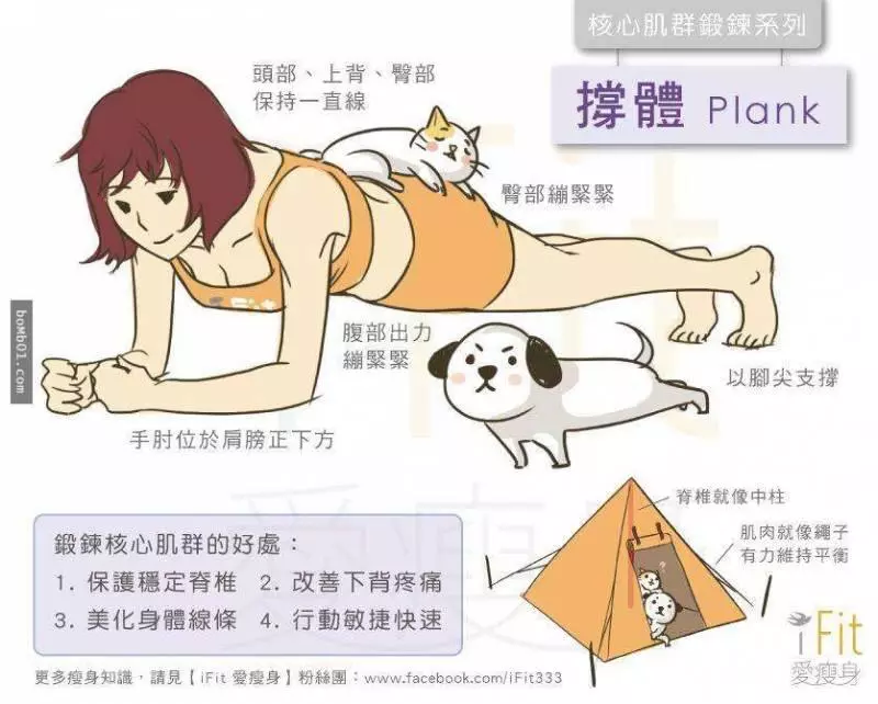 超基礎運動,不要再白繳健身房的錢了啊 4招讓「團結的肥肚肚在1個月內變腹肌」