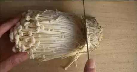 一直以來都切錯金針菇了!金針菇原來要這樣切,快學起來!