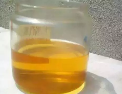 花店老闆不小心透露,花盆裡滴一滴油,一個月爆盆 十年不黃葉!