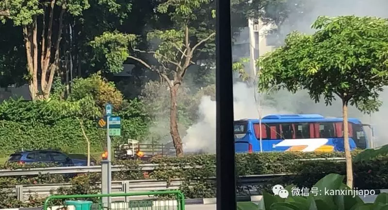 【新加坡】親眼目睹西海岸汽車自燃爆炸! 畫面太驚悚了!
