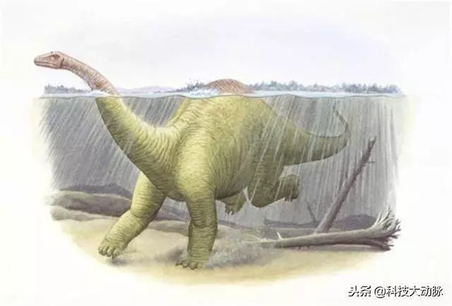 巨型恐龍是大象十倍重,原來生存地點不在陸地,而是在水中