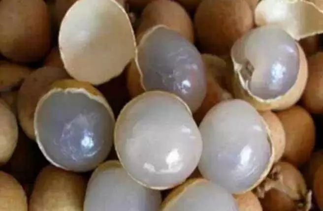 龍眼水這樣煮:失眠喝了七日痊癒!還能降低近視度哦!