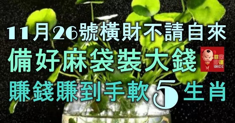 11月26號橫財不請自來,備好麻袋裝大錢,賺錢賺到手軟的5大生肖!