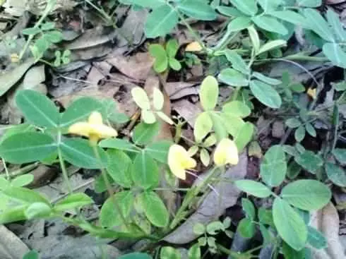 人最怕血管堵!老中醫告訴你:梳手十分鐘,預防腦中風!