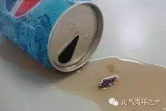 可樂! 專家告訴你,在家裡擺一瓶沒開過的「可樂」,竟然可以保你一命!!