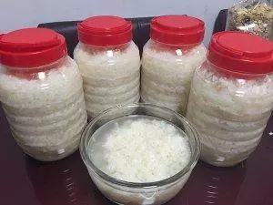 自製糯米酒,做法簡單,對人體好處多,補氣養血,驅寒祛濕 ~