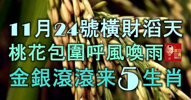 11月24號橫財滔天,桃花包圍,呼風喚雨,金銀滾滾數不盡的5大生肖,一富富足十年!