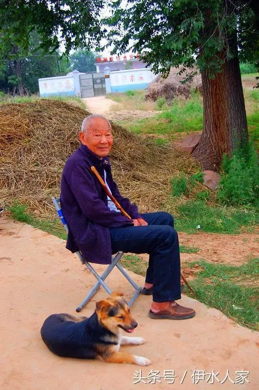 85歲的老人用一種草藥熬水當茶喝,控製糖尿病