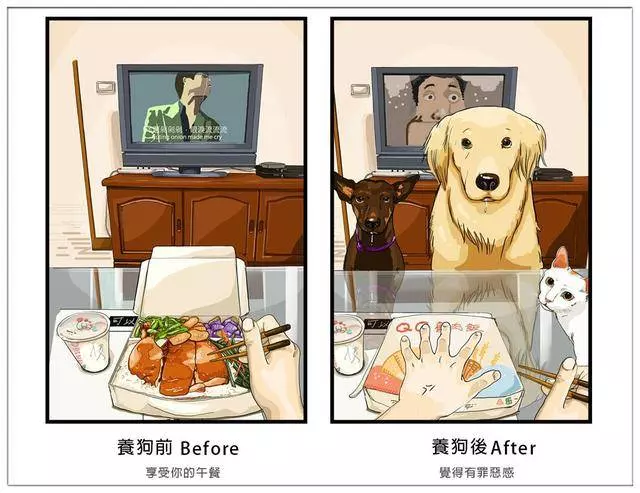 養了毛孩子的前後12個變化,你中招了嗎?