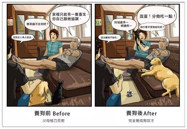 養了毛孩子的前後12個變化,你中招了嗎?