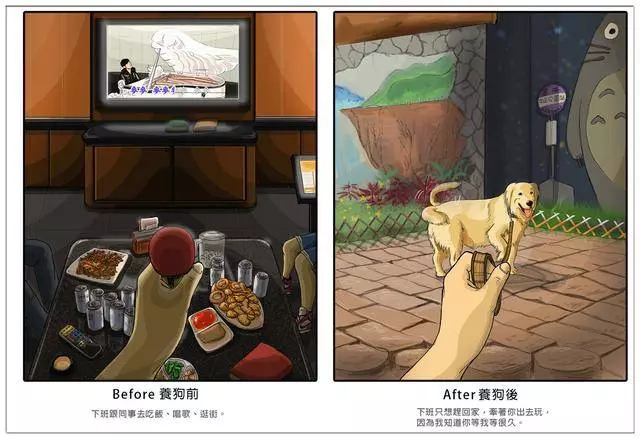 養了毛孩子的前後12個變化,你中招了嗎?