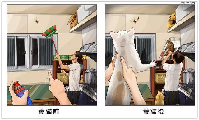 養了毛孩子的前後12個變化,你中招了嗎?