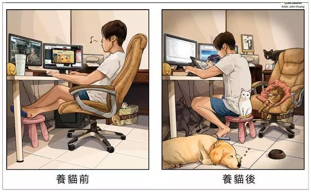 養了毛孩子的前後12個變化,你中招了嗎?