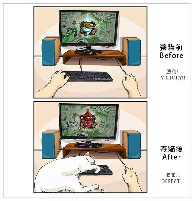 養了毛孩子的前後12個變化,你中招了嗎?