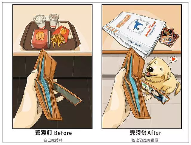 養了毛孩子的前後12個變化,你中招了嗎?