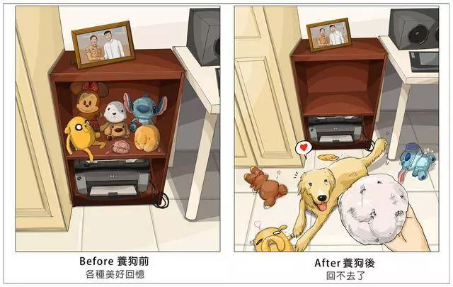 養了毛孩子的前後12個變化,你中招了嗎?