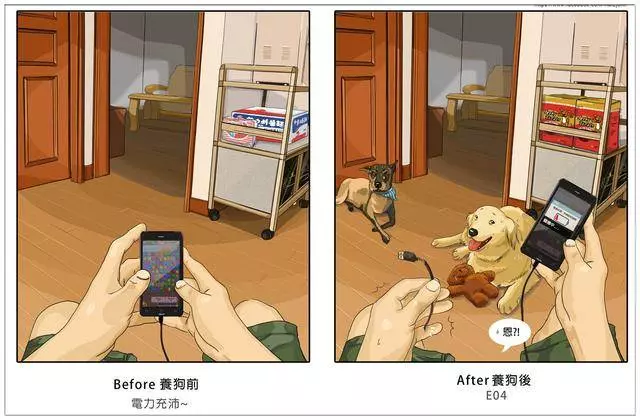 養了毛孩子的前後12個變化,你中招了嗎?