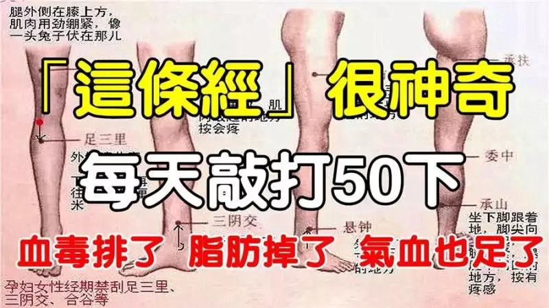 這條經很神奇，只要每天敲打50下，血毒排了、脂肪掉了、氣血足了、褲管也鬆了！