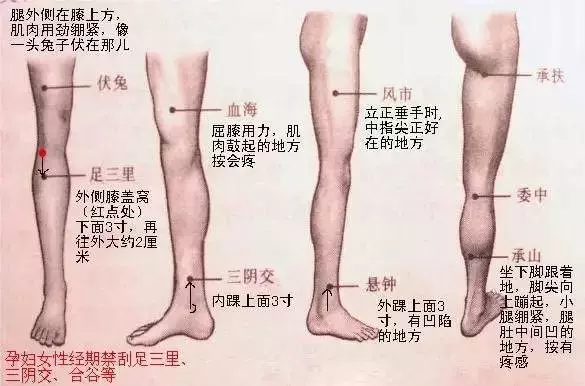 這條經很神奇，只要每天敲打50下，血毒排了、脂肪掉了、氣血足了、褲管也鬆了！