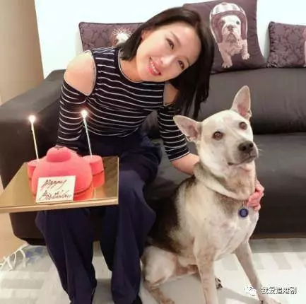 姚子羚不理舊愛緋聞開心過生日!李施嬅祝福覓得真命天子